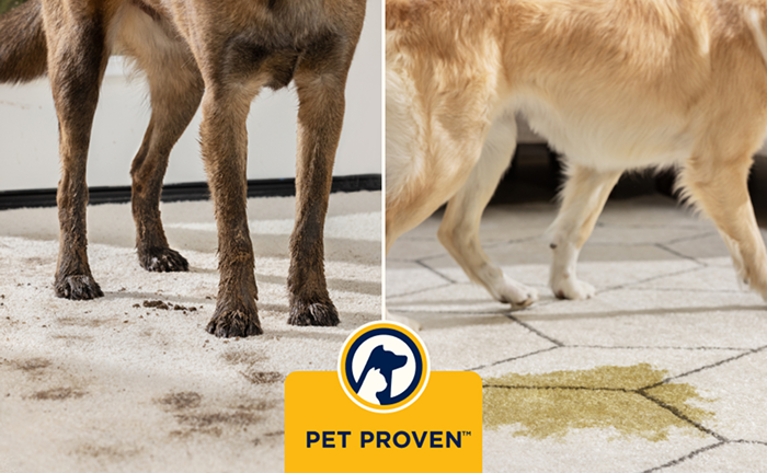 Certificado Pet Proven