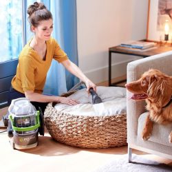 SpotClean Pet Pro: Aspirador Quitamanchas