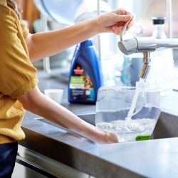 SpotClean Pet Pro: Aspirador Quitamanchas