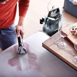 SpotClean Plus: Aspirador Quitamanchas