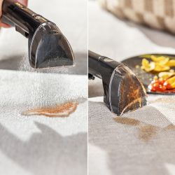 BISSELL® PowerWash Pet