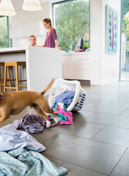 Preguntas y respuestas frecuentes